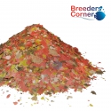 BREEDERS CORNER Premium Energy Tropical Flake Food with SPIRULINA