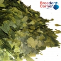 BREEDERS CORNER Vegetable Flakes with Spirurlina